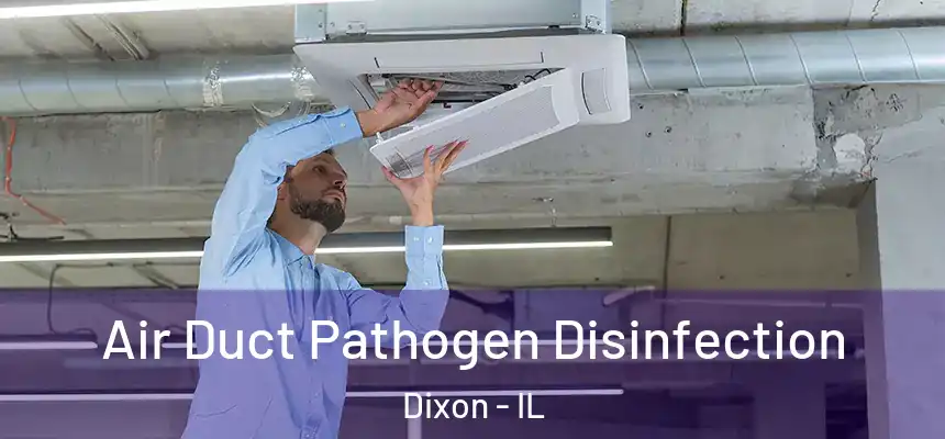  Air Duct Pathogen Disinfection Dixon - IL