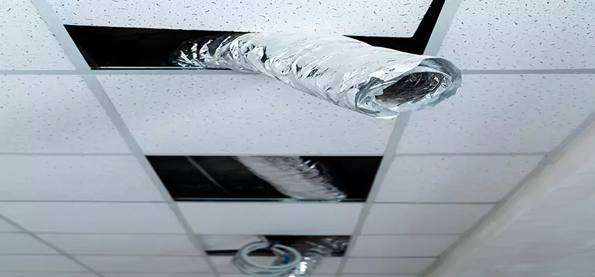 Our Air Duct Pet Hair Removal Services in Dixon, IL