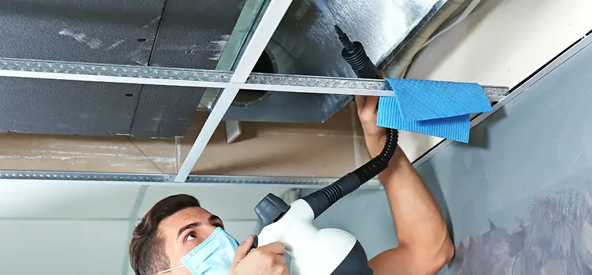 Our Air Duct Rodent Removal Services in Dixon, IL