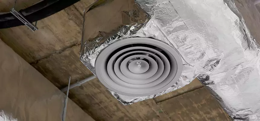 Our Excess Lint Removal from Dryer Ducts Services in Dixon, IL