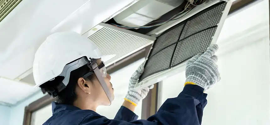 Our Lint Trap Cleaning Service Services in Dixon, IL