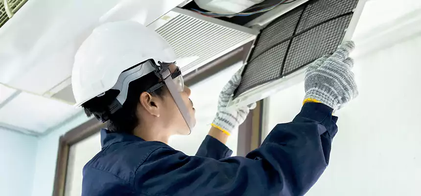 Our Mold & Mildew Removal from Air Ducts Services in Dixon, IL