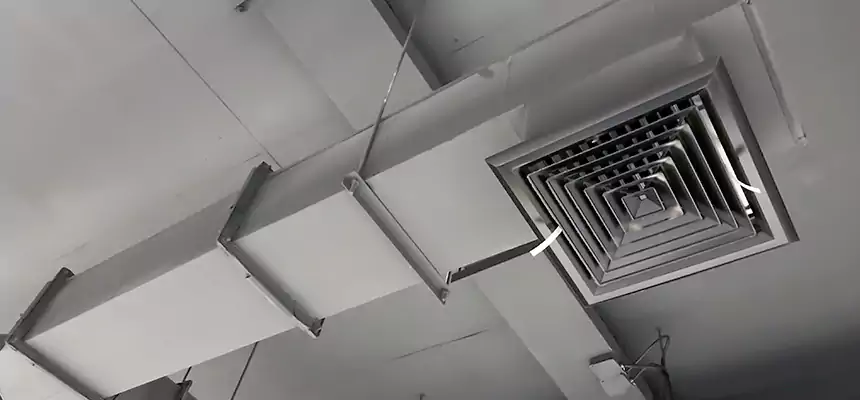 Our Rodent Droppings In Vents Services in Dixon, IL