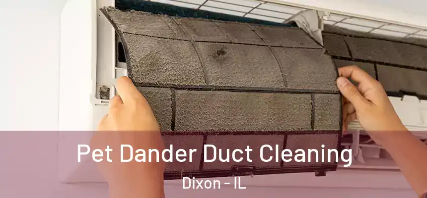 Pet Dander Duct Cleaning Dixon - IL