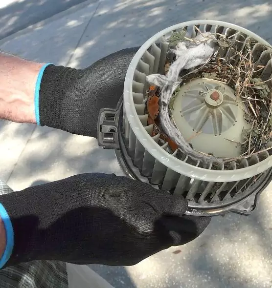 About Air Duct Rat Removal in Dixon, IL