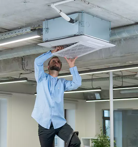 Advanced Rodent Droppings In Vents in Dixon, IL