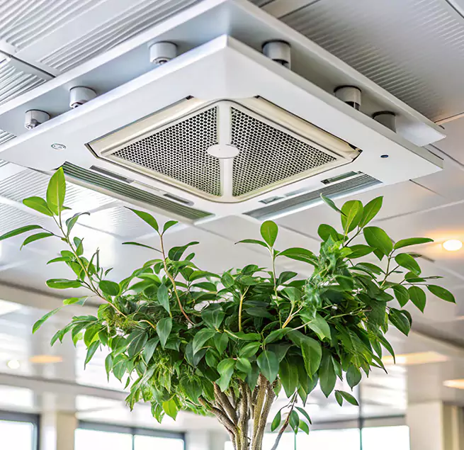 Why Homeowners & Businesses Trust Us in Dixon, IL?